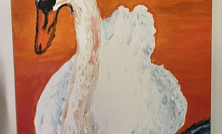 Rok pełen inspirujących działań i uśmiechu w TOK