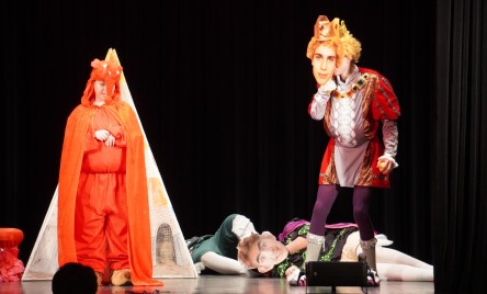 25. POWIATOWY PRZEGLĄD TEATRÓW DZIECIĘCYCH I MŁODZIEŻOWYCH-PELIMINAJCJE POWIATOWE