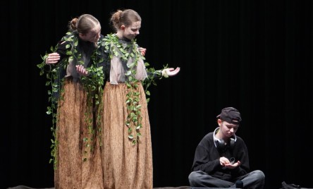 25. POWIATOWY PRZEGLĄD TEATRÓW DZIECIĘCYCH I MŁODZIEŻOWYCH-PELIMINAJCJE POWIATOWE