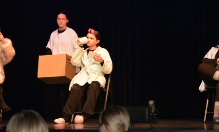 25. POWIATOWY PRZEGLĄD TEATRÓW DZIECIĘCYCH I MŁODZIEŻOWYCH-PELIMINAJCJE POWIATOWE