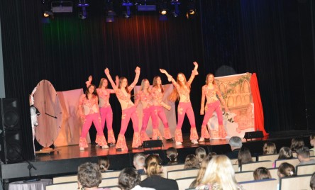 25. POWIATOWY PRZEGLĄD TEATRÓW DZIECIĘCYCH I MŁODZIEŻOWYCH-PELIMINAJCJE POWIATOWE